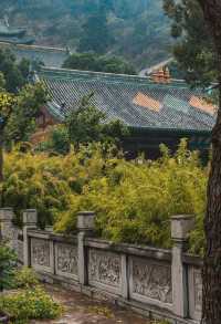 玄中寺：淨土祖庭的千年回響