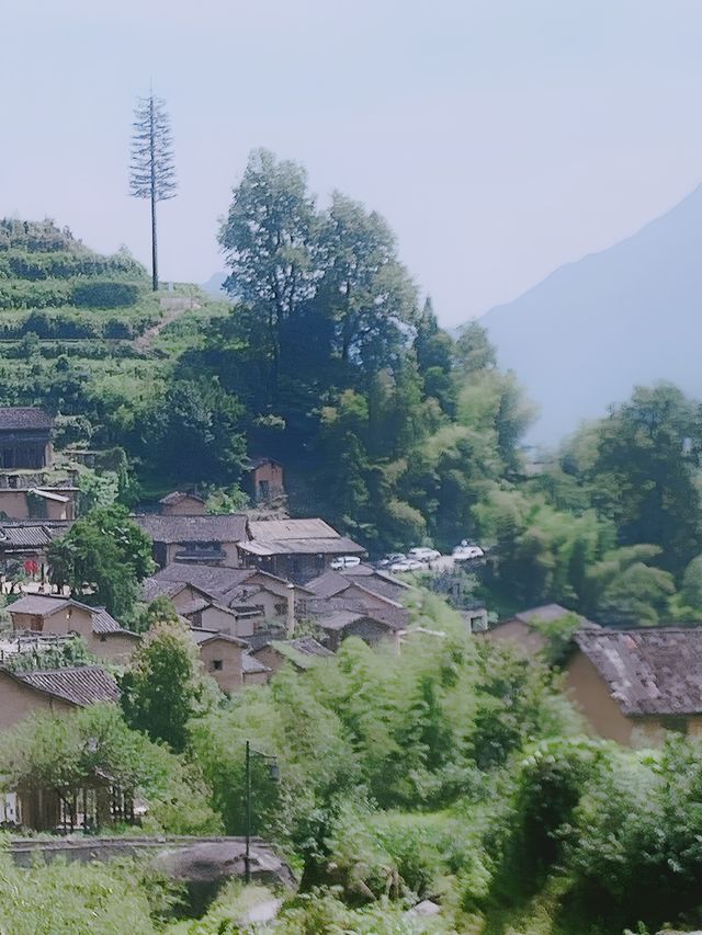 浙江麗水雲和，山青水美的寶藏小城