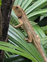 Beautiful Setting, Improvement Needed in Service Quality