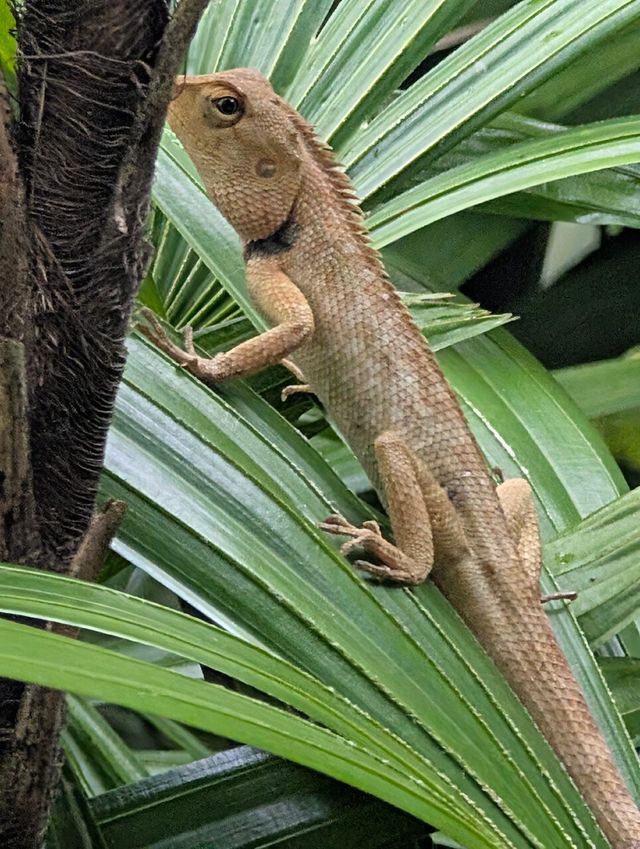 Beautiful Setting, Improvement Needed in Service Quality