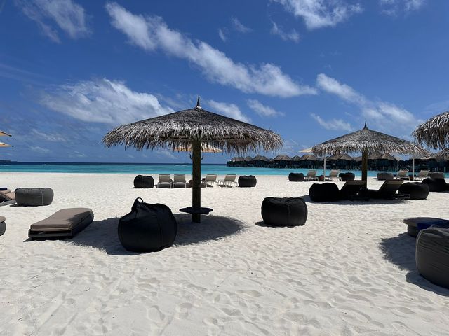 A Dreamy Island Getaway A Dreamy Island Getaway