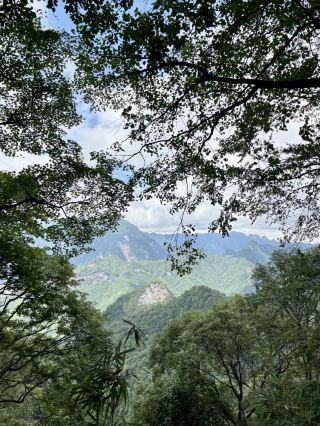 Emerald Peaks and Flowing Clouds: The Whispering Forest of Wulong Cave