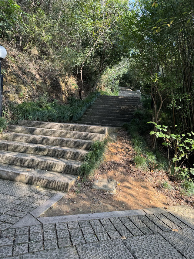 在湖州邂逅山水詩意,這份2日遊攻略帶你玩轉菰城秘境 【Day1 登高望遠·菰城景區】 菰城景區 在湖州邂逅山水詩意,這份2日遊攻略帶你玩轉菰城秘境 【Day1 登高望遠·菰城景區】 菰城景區