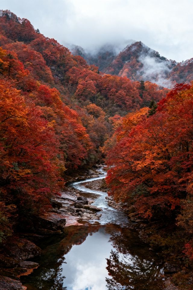 川北秘境南江天花板攻略賞紅葉、食美味、探古道一條龍！