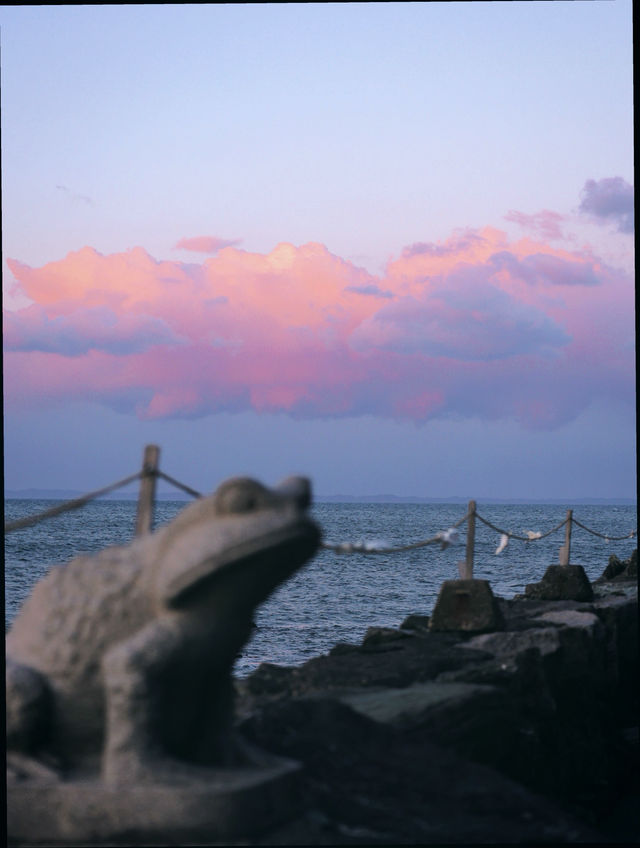 和歌山4天3夜漫遊指南|山海古寺的靜謐之旅 和歌山4天3夜漫遊指南|山海古寺的靜謐之旅