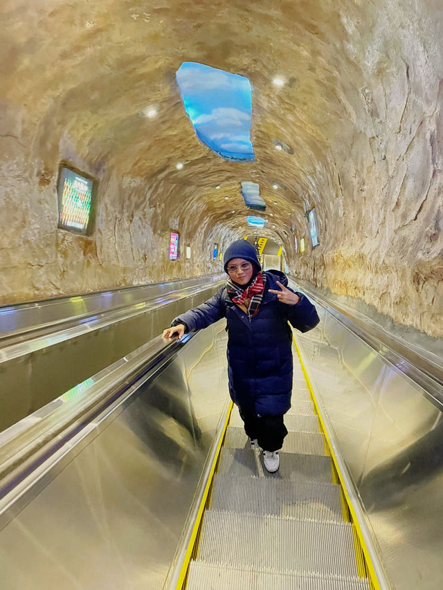 Tianmen Snow Guide🗻