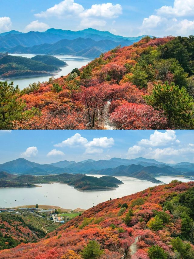 朋友圈問爆的北京紅葉谷！人少免費還出片（附路線）