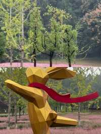 打卡宜昌沙河，邂逅公園與自然的浪漫