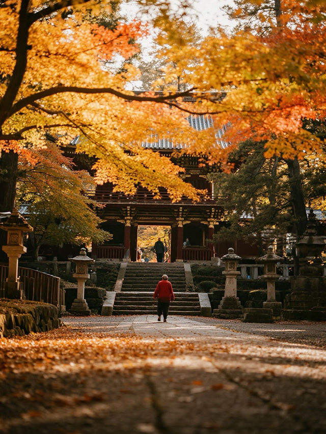 奈良秋日在楓色間收藏平安朝的遺韻 奈良秋日在楓色間收藏平安朝的遺韻
