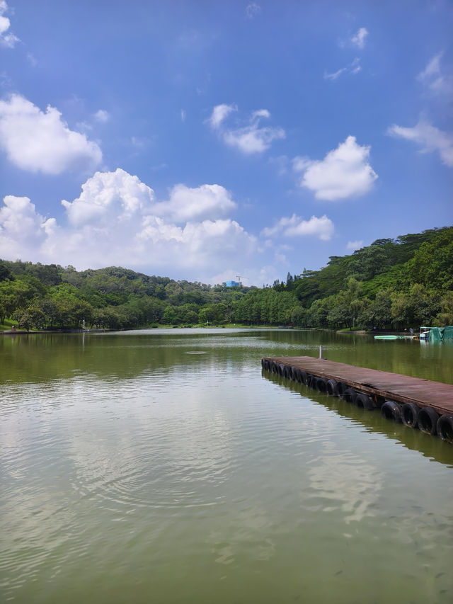深圳蓮花山必打卡