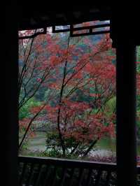 重慶｜石門公園的「新中式」雨天美學