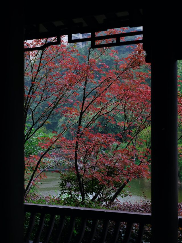 重慶｜石門公園的「新中式」雨天美學