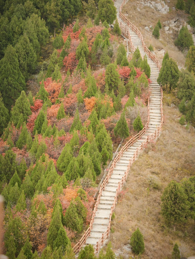 層林盡染徒步秘境-葫蘆頂