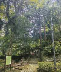 重走蔣公道｜把莫干山的秋裝進徒步裡