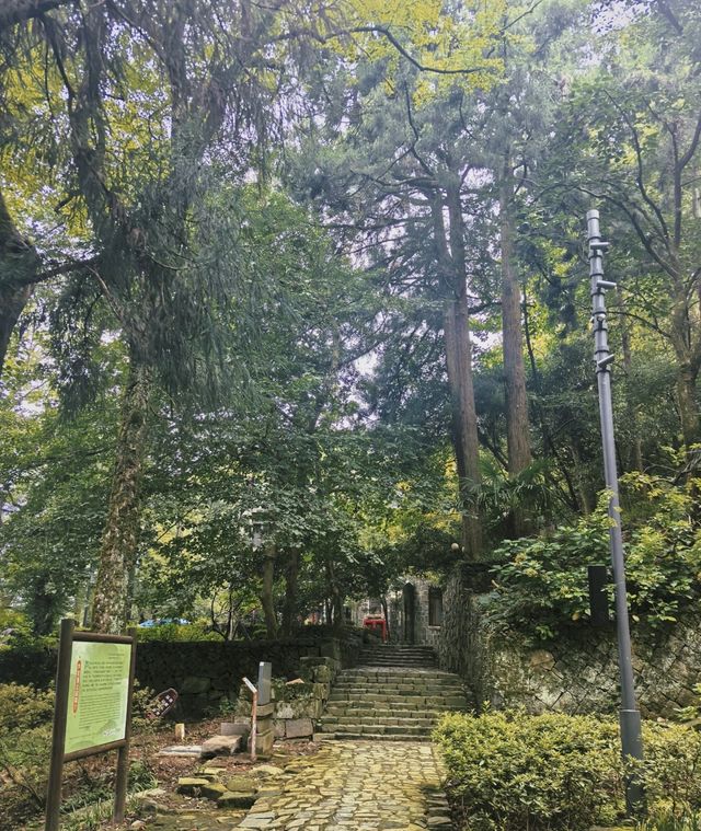 重走蔣公道｜把莫干山的秋裝進徒步裡