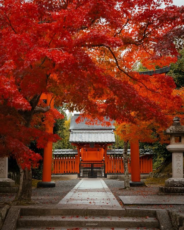 攝影師私藏!京都這些神仙機位拍出絕美秋色 攝影師私藏!京都這些神仙機位拍出絕美秋色