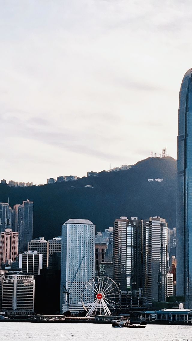 價值百萬的夜景,一分鐘免費看!香港太平山頂封神機位。 價值百萬的夜景,一分鐘免費看!香港太平山頂封神機位。