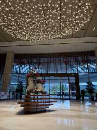 親子水樂園撒歡指南3.3萬㎡溫泉水樂園,泡私湯玩高空泳池