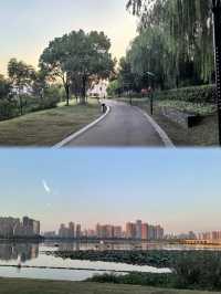 國博/王家灣首選！江景+性價比雙絕的寶藏酒店