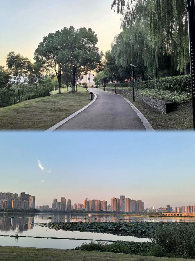 國博/王家灣首選！江景+性價比雙絕的寶藏酒店