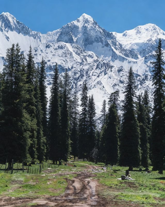 新疆夏塔:一日看盡冰川星空草原的絕美秘境 新疆夏塔:一日看盡冰川星空草原的絕美秘境