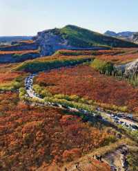 蔣福山紅葉林攻略:京津冀秋日秘境,漫山紅楓美到窒息!