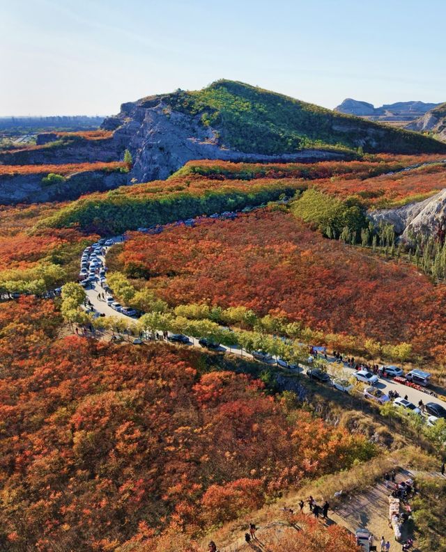 蔣福山紅葉林攻略:京津冀秋日秘境,漫山紅楓美到窒息! 蔣福山紅葉林攻略:京津冀秋日秘境,漫山紅楓美到窒息!