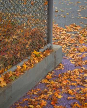 還得是西安的小香港啊!紡正街