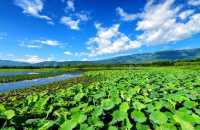 洱源景區一日一夜經濟實惠旅遊攻略