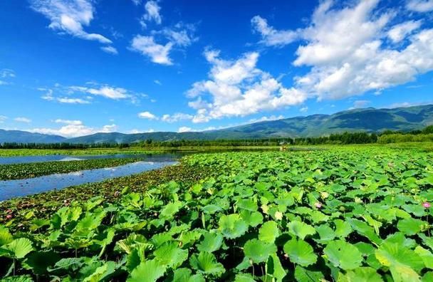 洱源景區一日一夜經濟實惠旅遊攻略 洱源景區一日一夜經濟實惠旅遊攻略