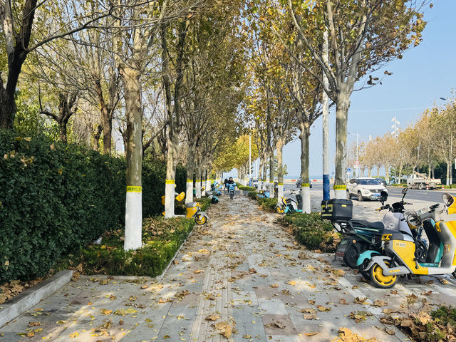 任賢齊同款海景酒店