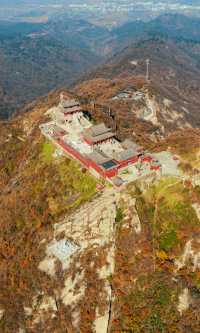 銀杏瀑布、紅葉滿山 鄭州周邊小眾賞秋路線