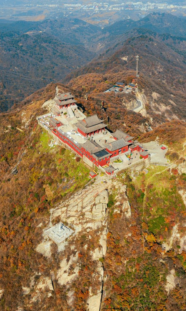 銀杏瀑布、紅葉滿山 鄭州周邊小眾賞秋路線 銀杏瀑布、紅葉滿山 鄭州周邊小眾賞秋路線