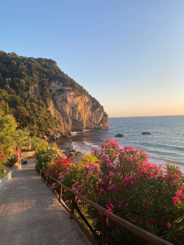 農曆新年外遊打卡美國經典一號公路