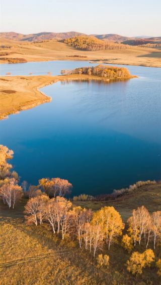 Four days and three nights in Saihanba in November, exploring the early winter of the North!