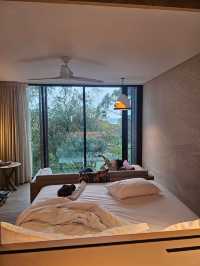 住進動物園的夜！Taronga最美棲息之旅