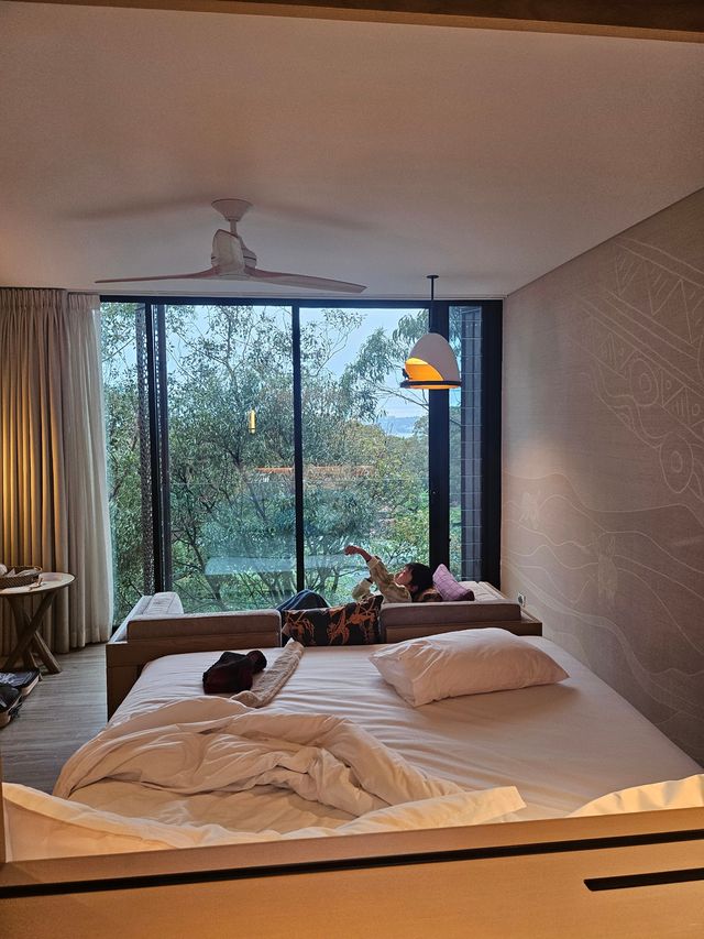 住進動物園的夜！Taronga最美棲息之旅