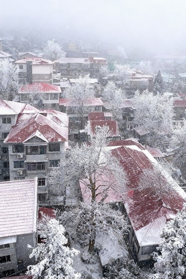 今年冬天一定要來廬山看雪！