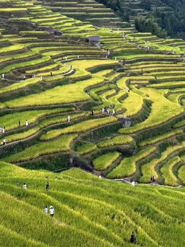 看日出雲海、逛古寨，拍照拍到內存滿
