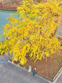 南京99%的人都不知道這裡， 出片還人少