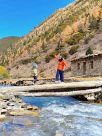川西3日反向遊|彩林、雪山摘蘋果