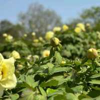 山東荷澤歡迎您