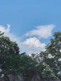 雲海之巔，心之所向：玉皇頂療癒之旅