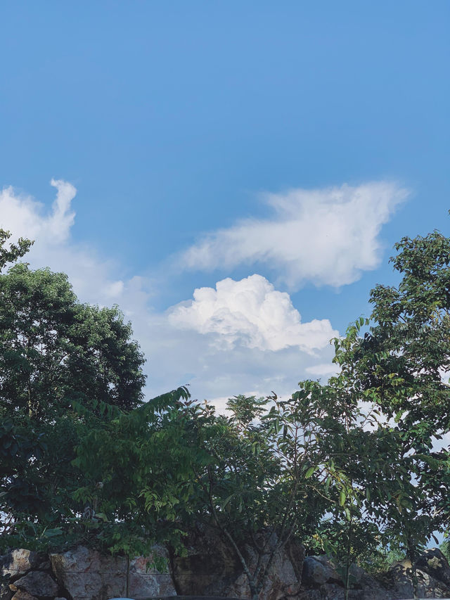 雲海之巔，心之所向：玉皇頂療癒之旅