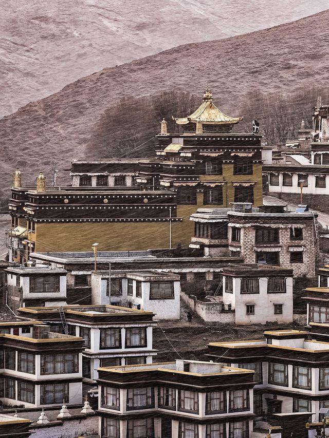 在理塘寺｜我看到了信仰美好的樣子