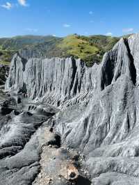 中國墨石公園！（874）