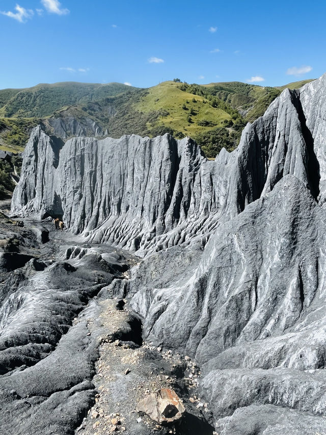 中國墨石公園！（874）