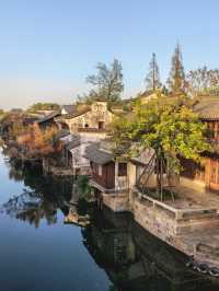 在鹽官,遇見江南最絢爛的深秋