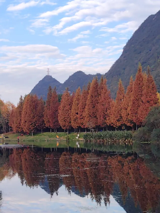 貴陽初冬·唯一想去無數次的公園