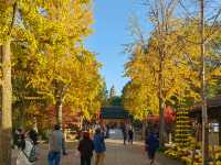 崑山2日遊：虎丘山、拙政園賞園林，周莊古鎮品水鄉